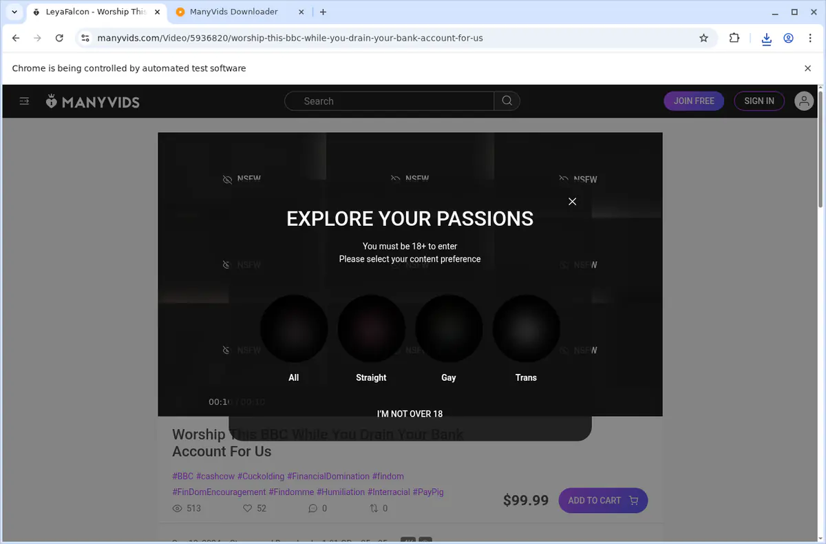 ManyVids Video Downloader screenshot 3