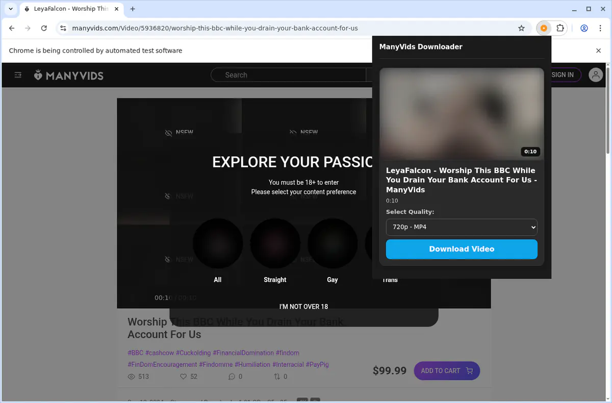 ManyVids Video Downloader screenshot 4