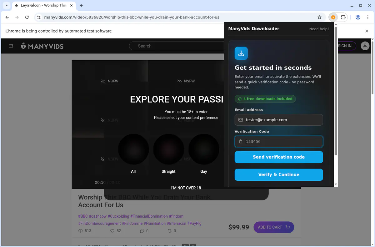ManyVids Video Downloader screenshot 5