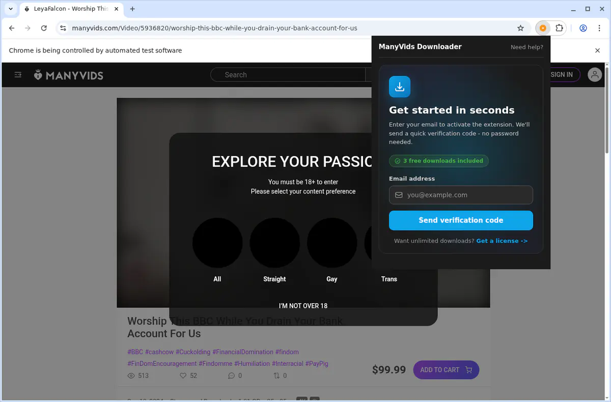 ManyVids Video Downloader screenshot 6
